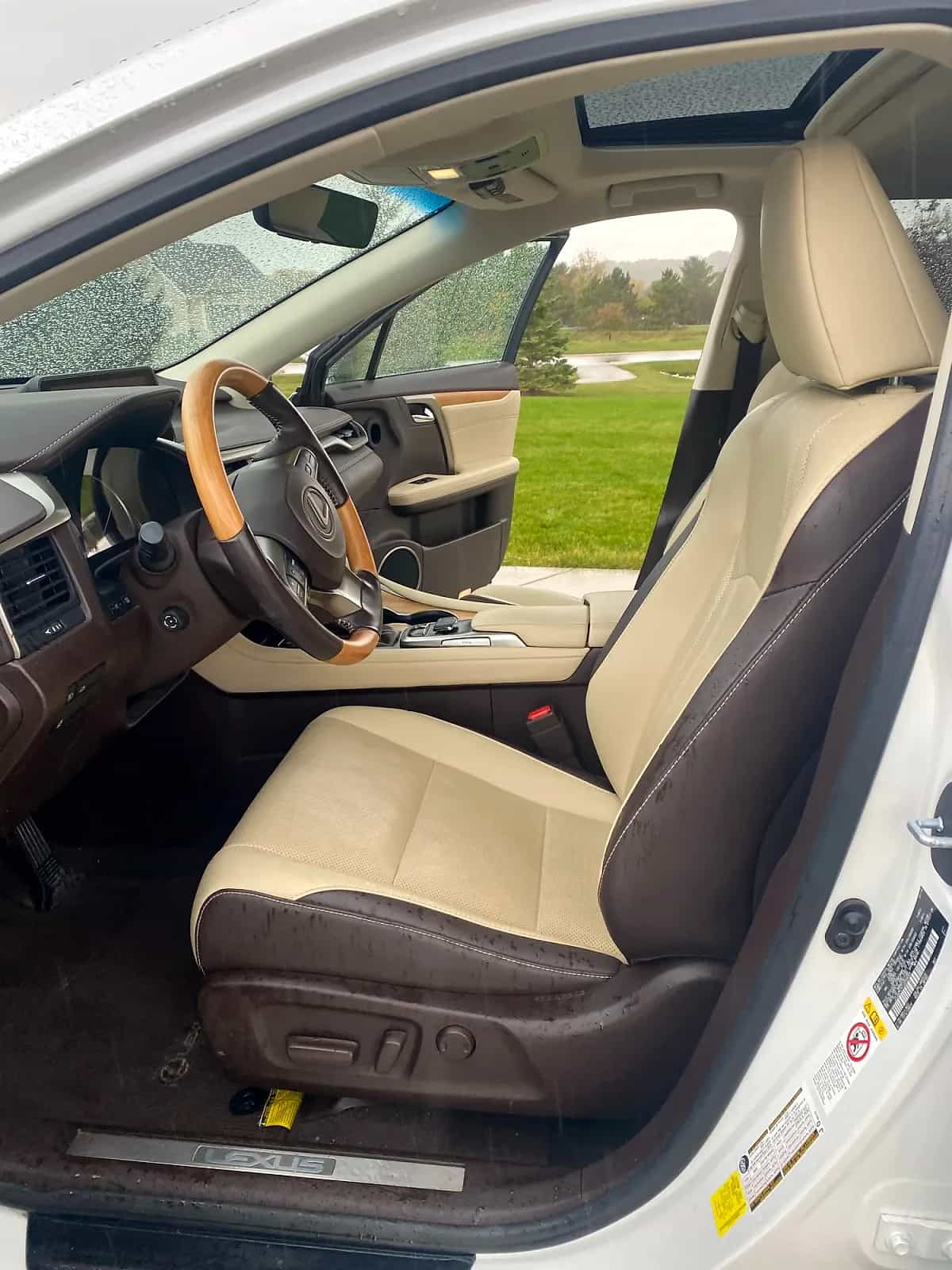 2018 Lexus RX - Photo 3