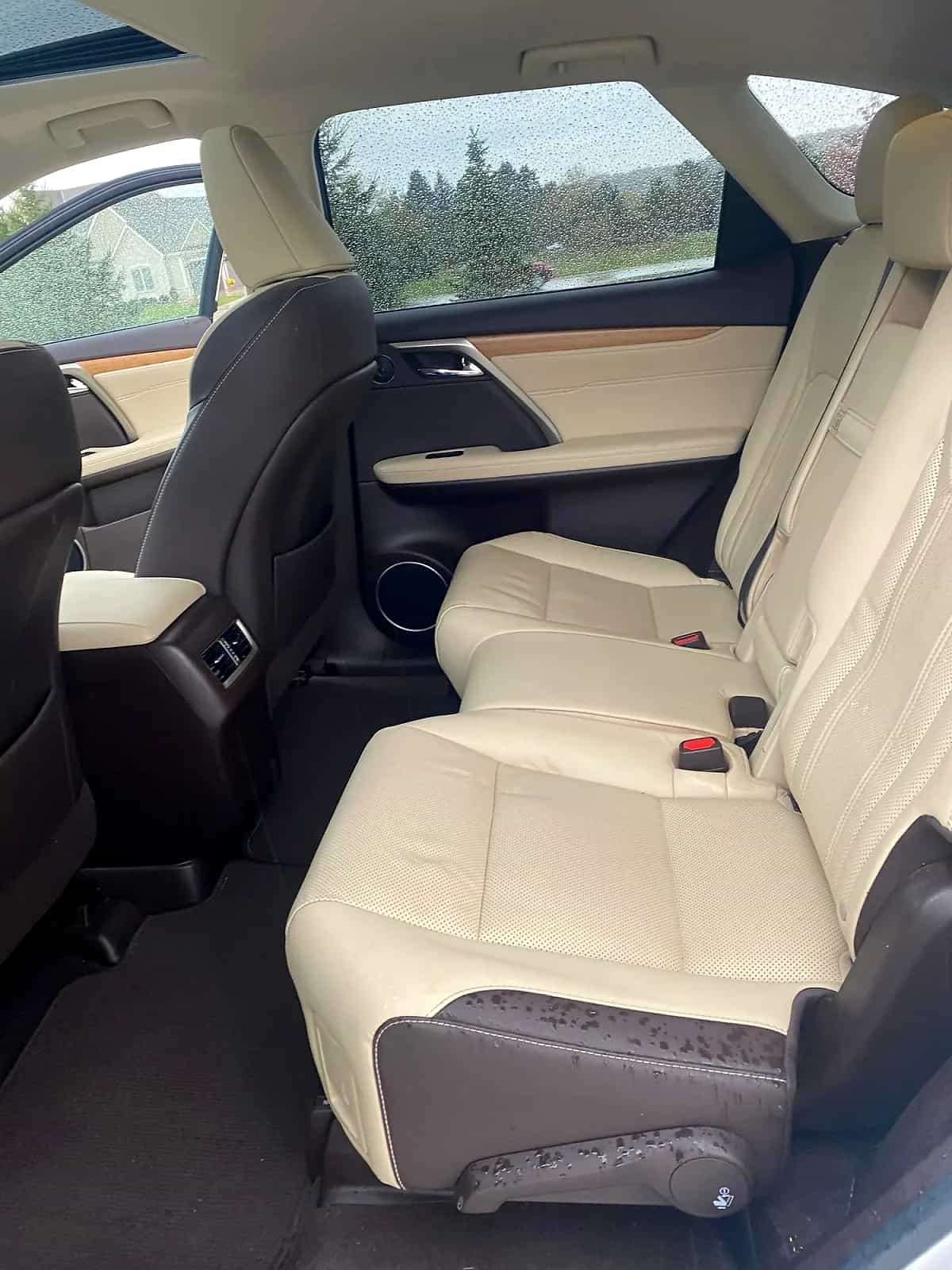 2018 Lexus RX - Photo 4