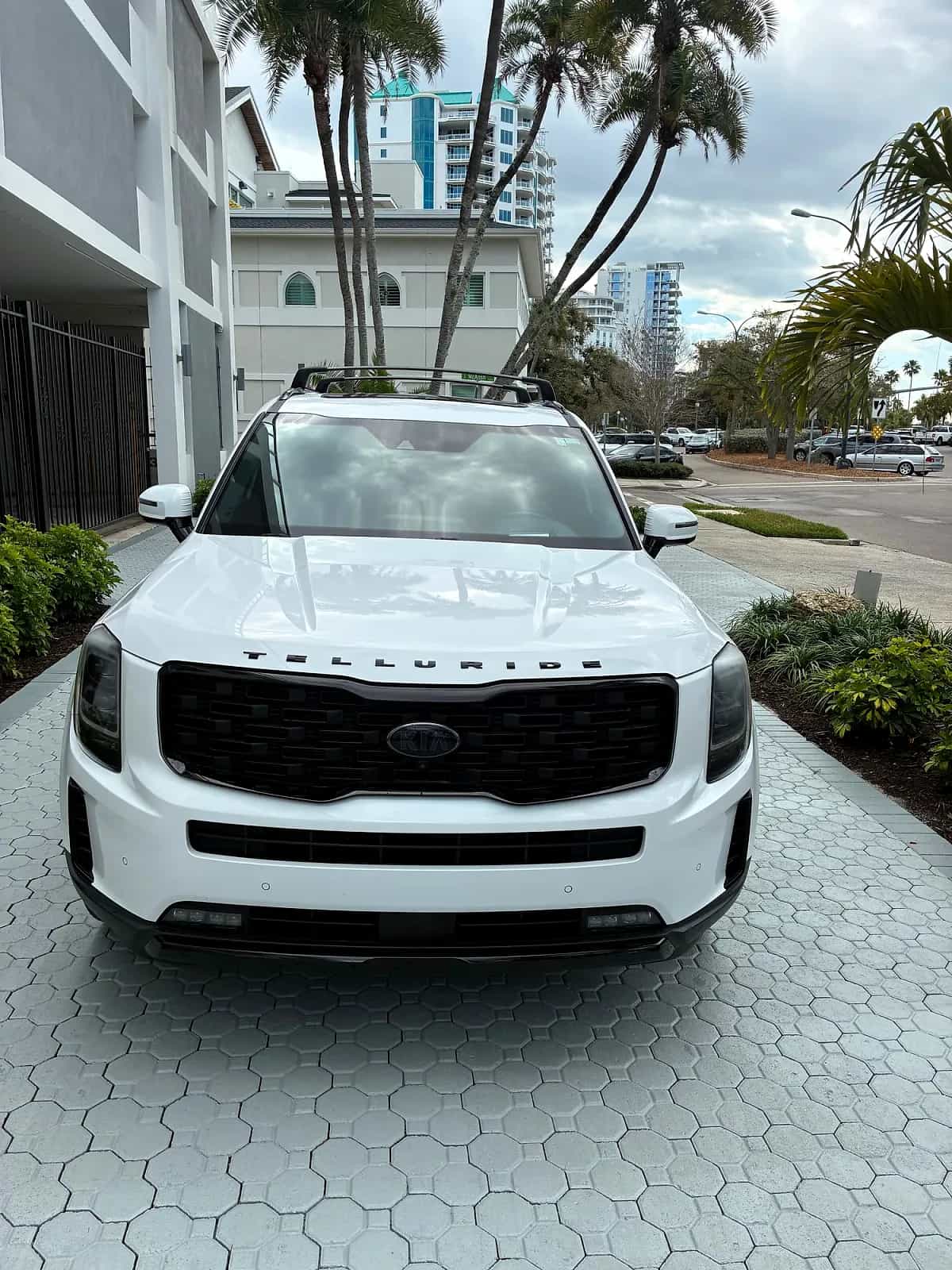 2021 Kia Telluride - Photo 2